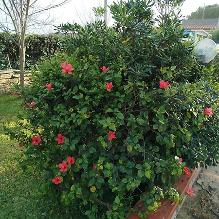 Holiday Home Riserva Marina Protetta Syracuse Luaran gambar